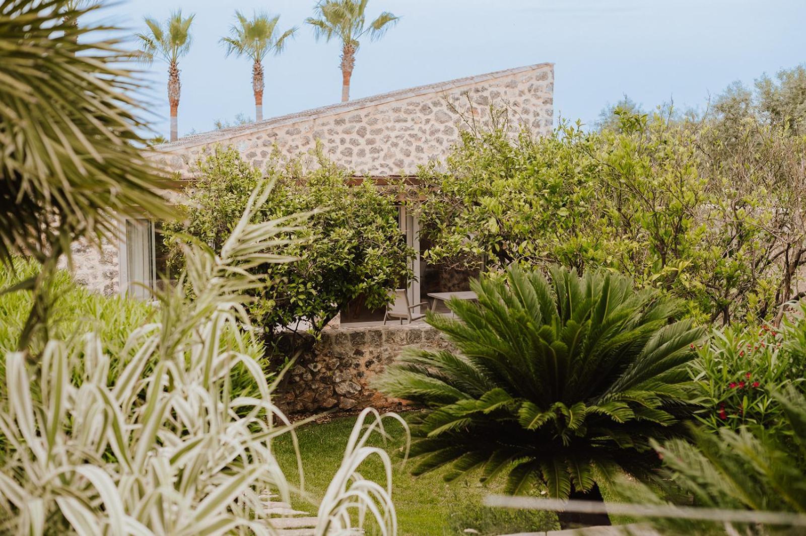 Sa Talaia Blanca Villa Muro Oda fotoğraf
